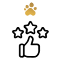 6 (6) 6 (6)